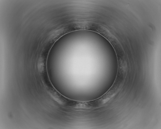 X0000112400080200908141348