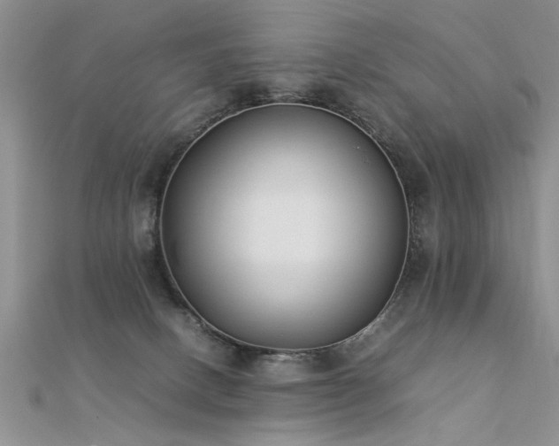X0000112400082200908141348