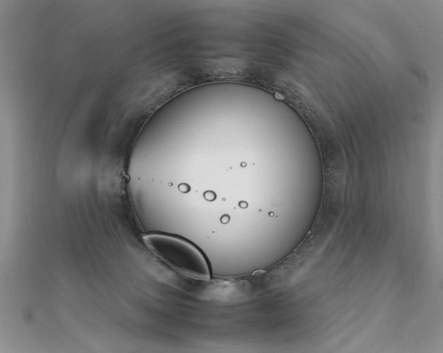 X0000112400083200908141348