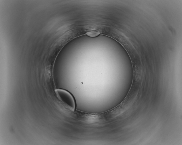 X0000112400085200908141348