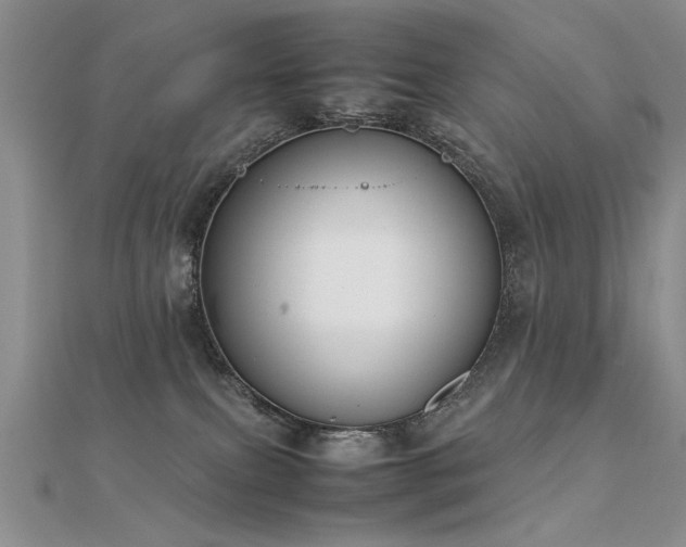 X0000112400087200908141348