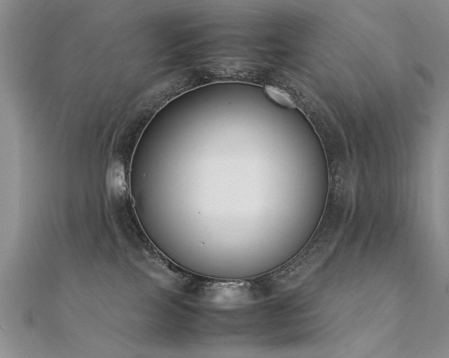 X0000112400089200908141348