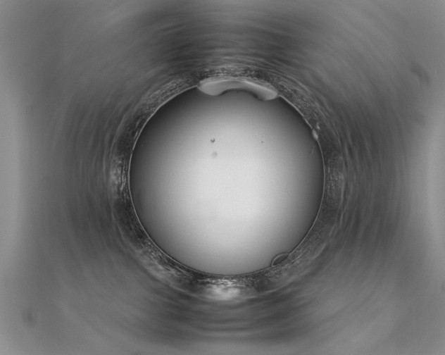 X0000112400091200908141348