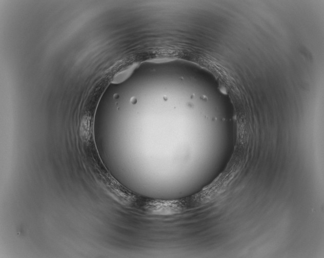 X0000112400093200908141348