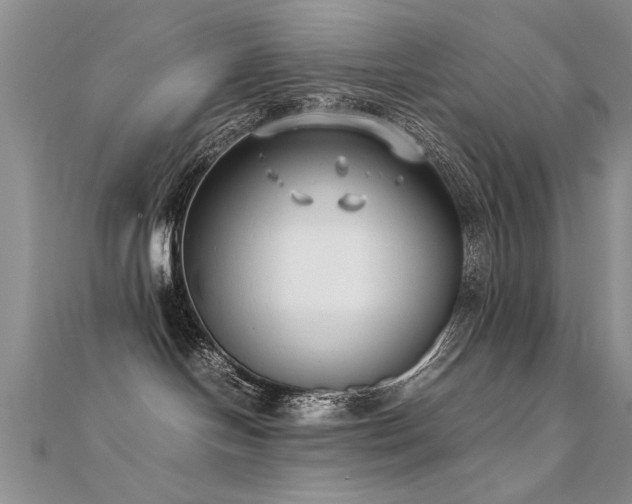 X0000112400094200908141348