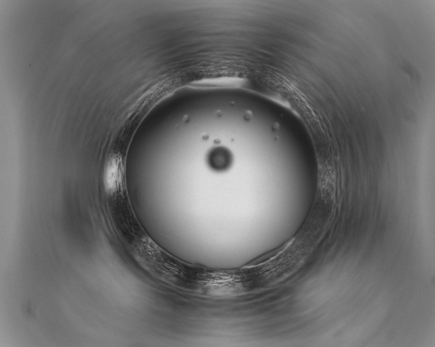 X0000112400095200908141349