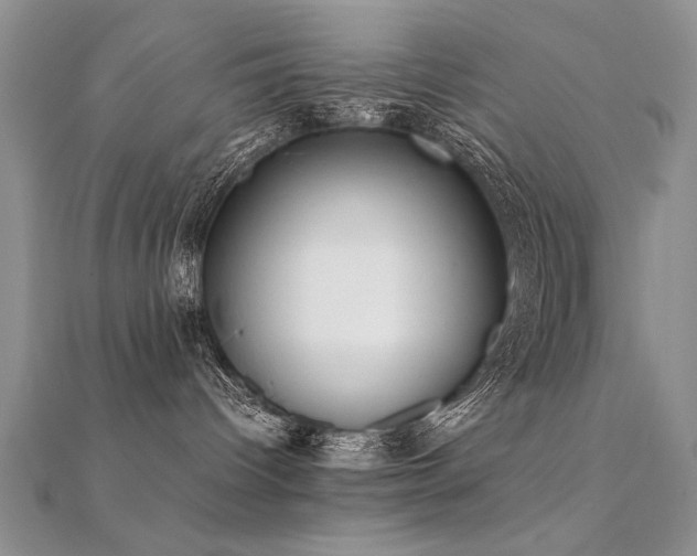X0000112400096200908141349