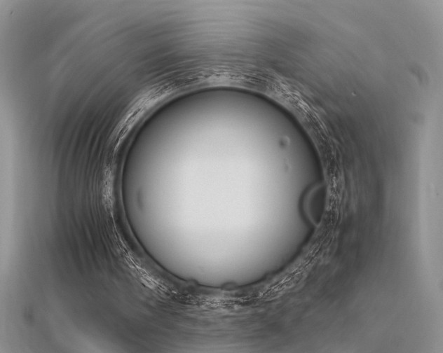 X0000112400098200908141348