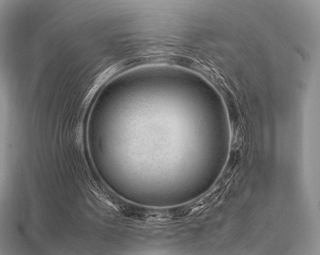 X0000112400099200908141348