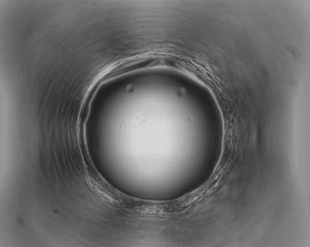 X0000112400100200908141348