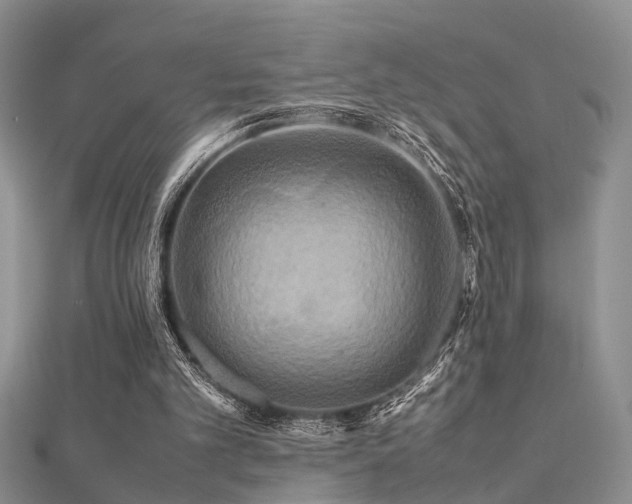 X0000112400101200908141348