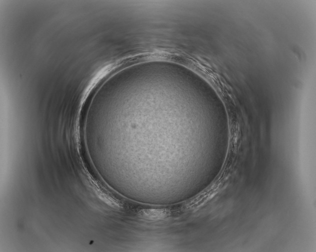 X0000112400102200908141348