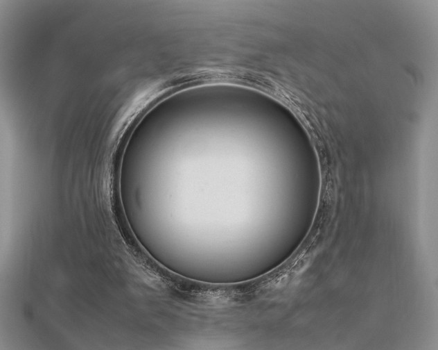 X0000112400103200908141348