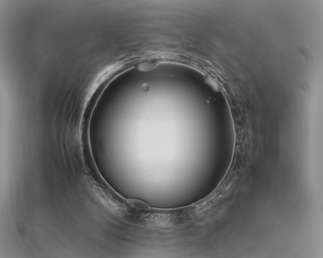 X0000112400104200908141348