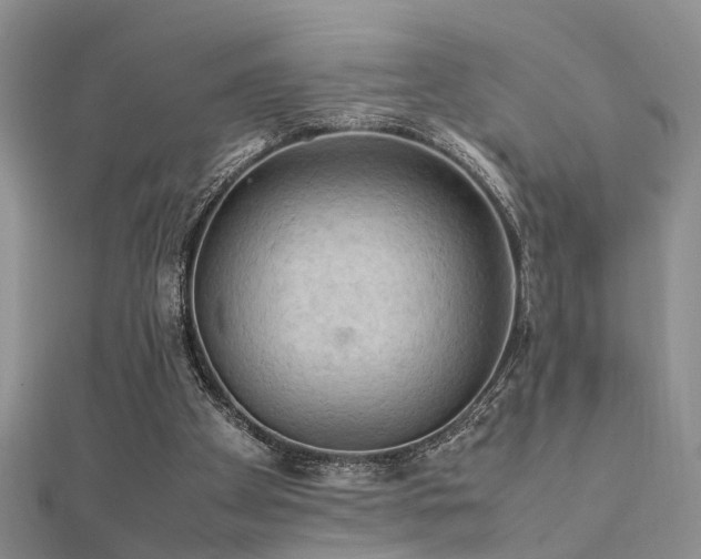 X0000112400105200908141348