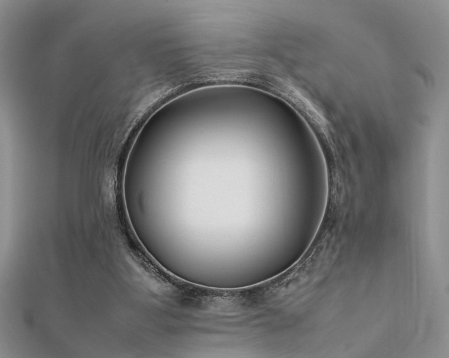 X0000112400107200908141348
