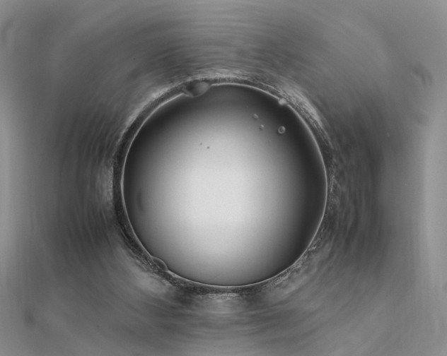 X0000112400108200908141348