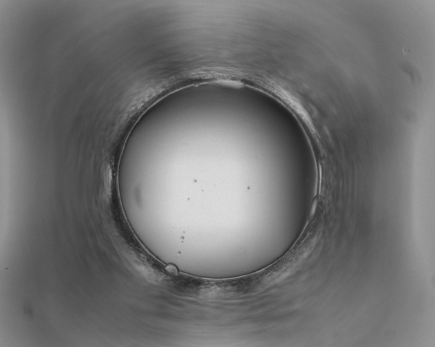 X0000112400109200908141348