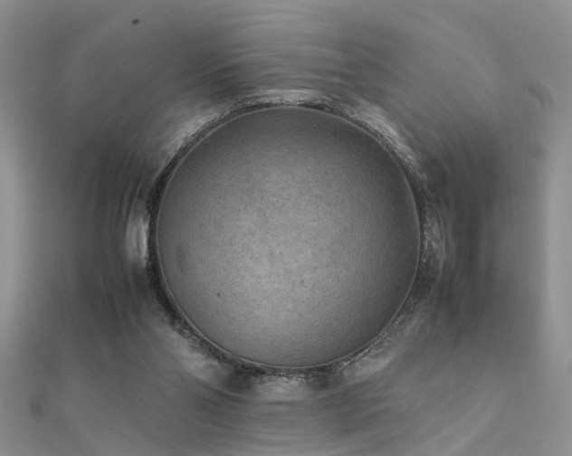 X0000112400110200908141348