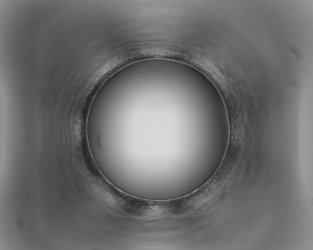 X0000112400111200908141348
