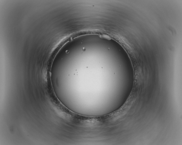 X0000112400112200908141348