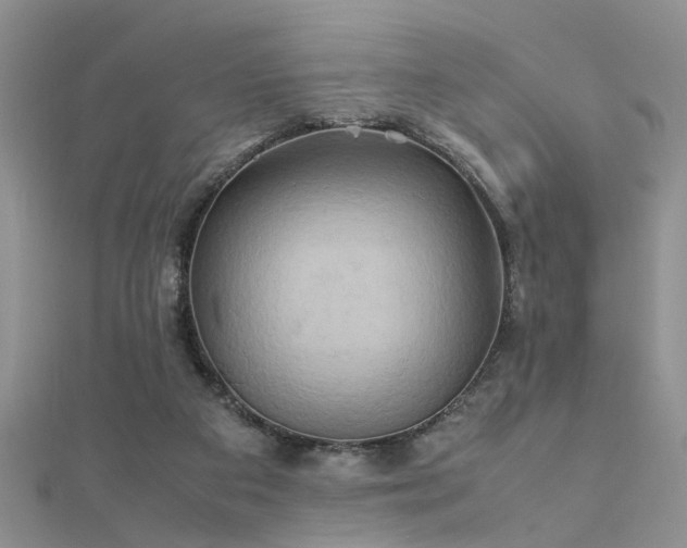 X0000112400113200908141348