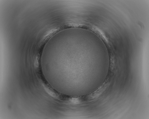 X0000112400114200908141348