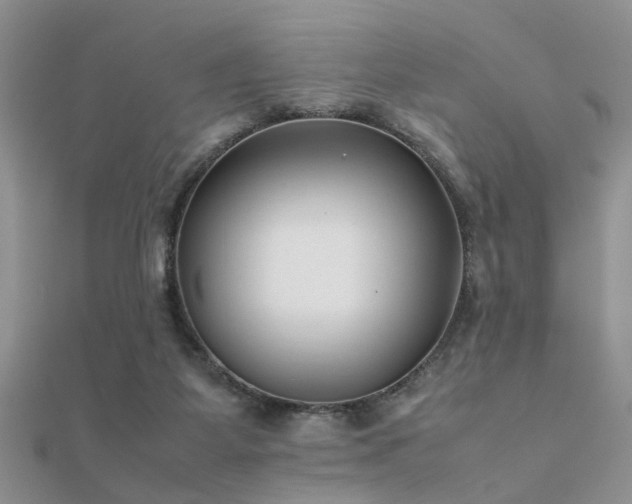 X0000112400115200908141348