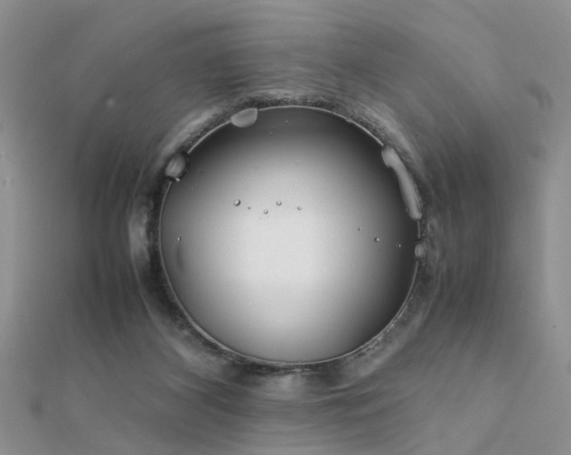 X0000112400116200908141348