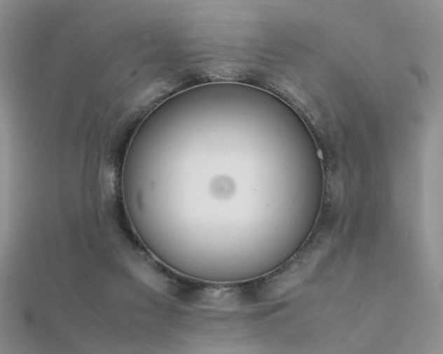 X0000112400117200908141348