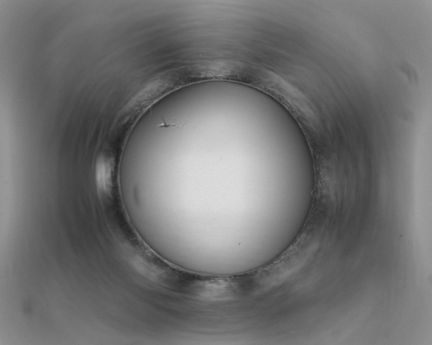 X0000112400118200908141348