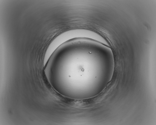 X0000112400121200908141348