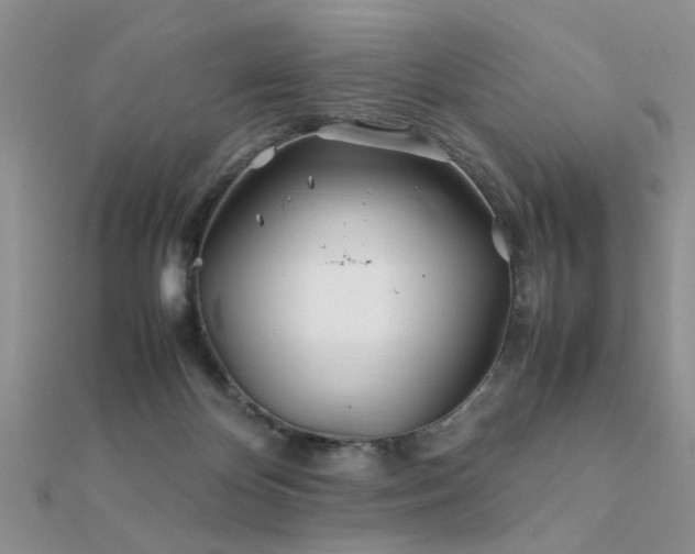 X0000112400124200908141348