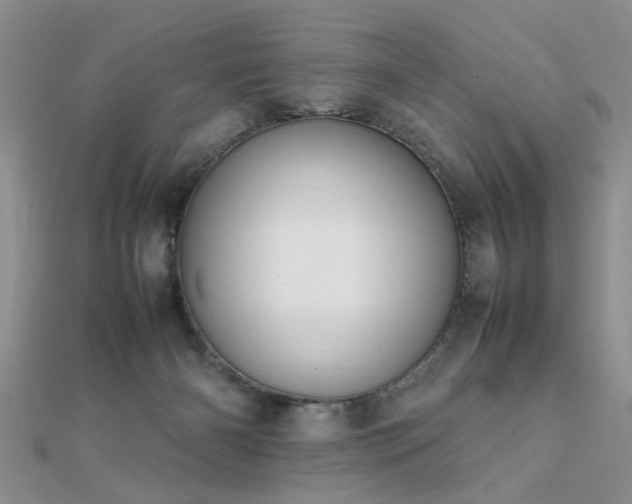 X0000112400126200908141348