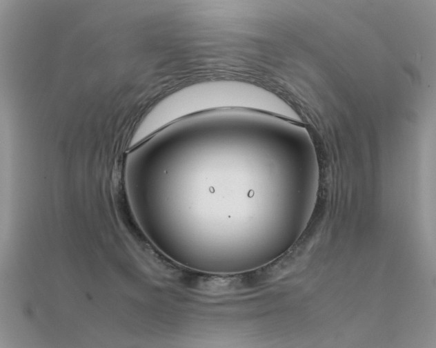 X0000112400129200908141347