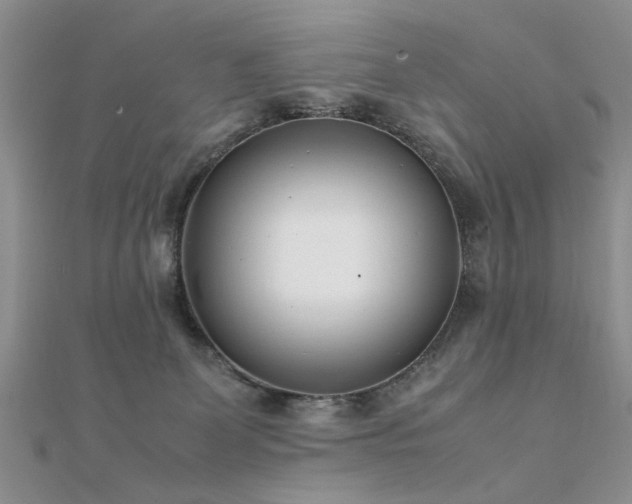 X0000112400131200908141347