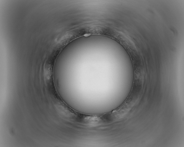 X0000112400133200908141347
