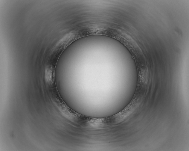 X0000112400138200908141347