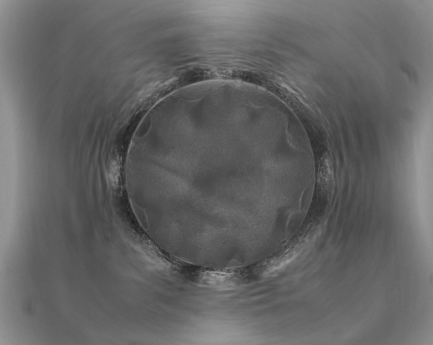X0000112400139200908141347