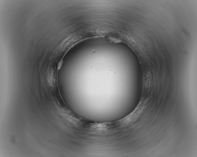 X0000112400140200908141347