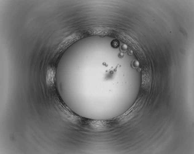 X0000112400142200908141347