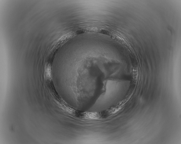 X0000112400143200908141347