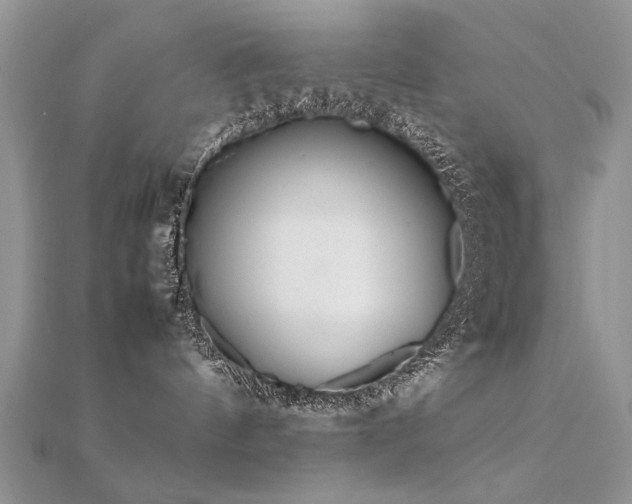 X0000112400144200908141347