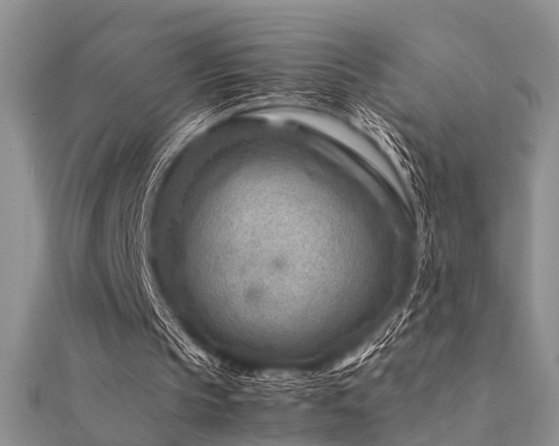 X0000112400145200908141347