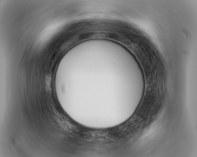 X0000112400146200908141347