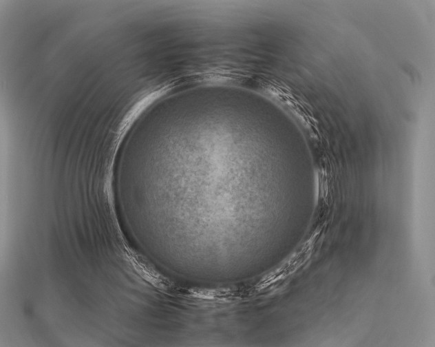X0000112400147200908141347