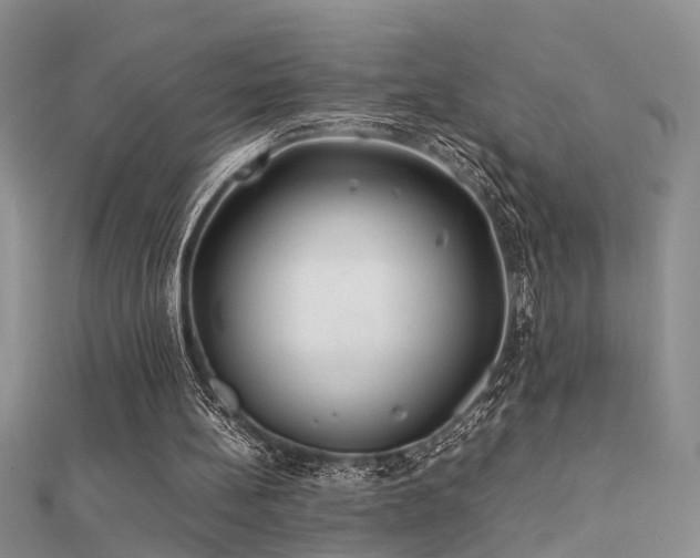 X0000112400148200908141347