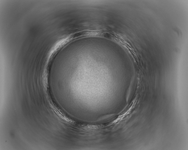 X0000112400149200908141347