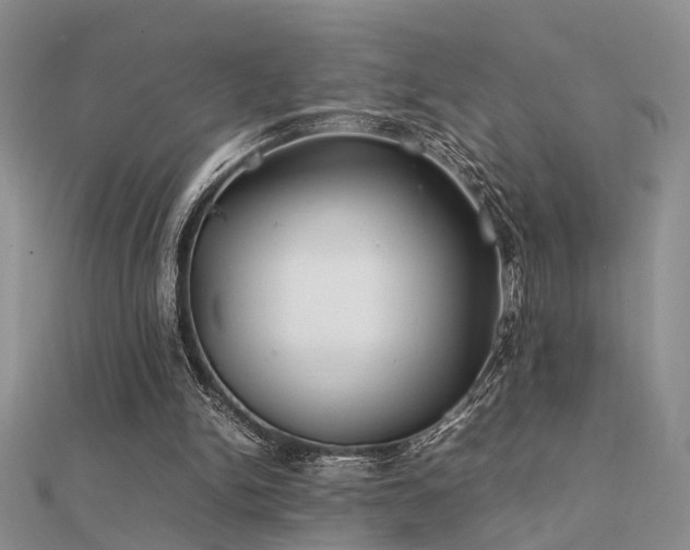 X0000112400150200908141347