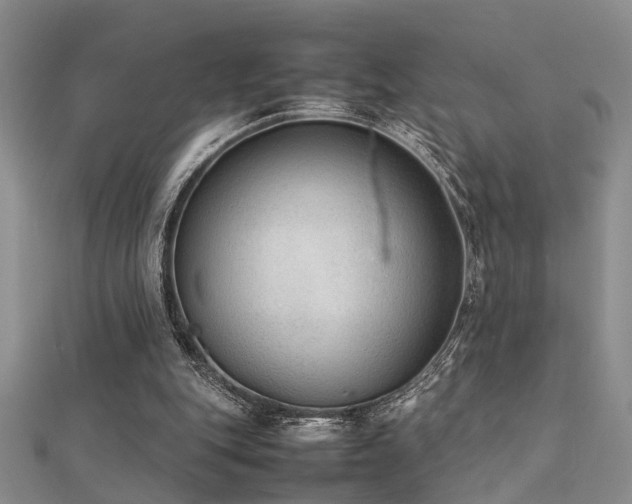 X0000112400151200908141347